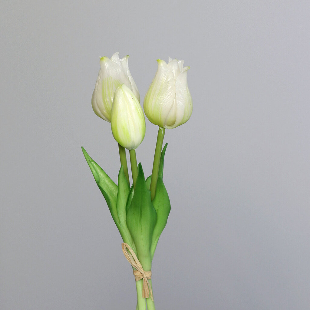 Dirbtinė gėlė Tulpė 3vnt., balta kaina ir informacija | Dirbtinės gėlės | pigu.lt