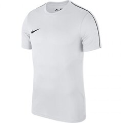 Sportiniai marškinėliai berniukams Nike, AA2057100, 71841 kaina ir informacija | Megztiniai, bluzonai, švarkai berniukams | pigu.lt