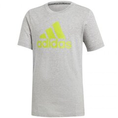 Спортивная футболка для мальчиков Adidas 75207 цена и информация | Рубашка для мальчиков | pigu.lt