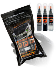 FORD 5B - PANTHER BLACK Комплект: Карандаш-корректор для устранения царапин + Модификатор ржавчины + Лак 15 ml цена и информация | Автомобильная краска | pigu.lt