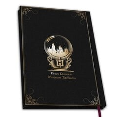 Notebook Harry Potter - Hogwarts kaina ir informacija | Žaidėjų atributika | pigu.lt