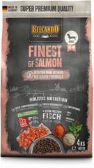 Belcando Finest GF Salmon для взрослых собак мелких и средних пород с лососем 4 кг цена и информация | Сухой корм для собак | pigu.lt