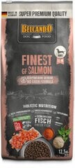 Belcando Finest GF Salmon для взрослых собак мелких и средних пород с лососем 12,5 кг цена и информация | Сухой корм для собак | pigu.lt