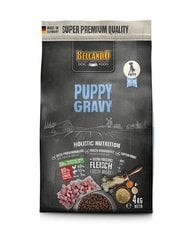 Сухой корм с птицей для щенков Belcando Puppy Gravy, от 1 до 4 месяцев, 4 кг цена и информация | Сухой корм для собак | pigu.lt