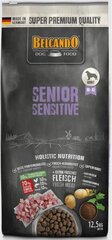 Belcando Senior Sensitive  для пожилых собак с нормальной активностью 12.5 кг цена и информация |  Сухой корм для собак | pigu.lt