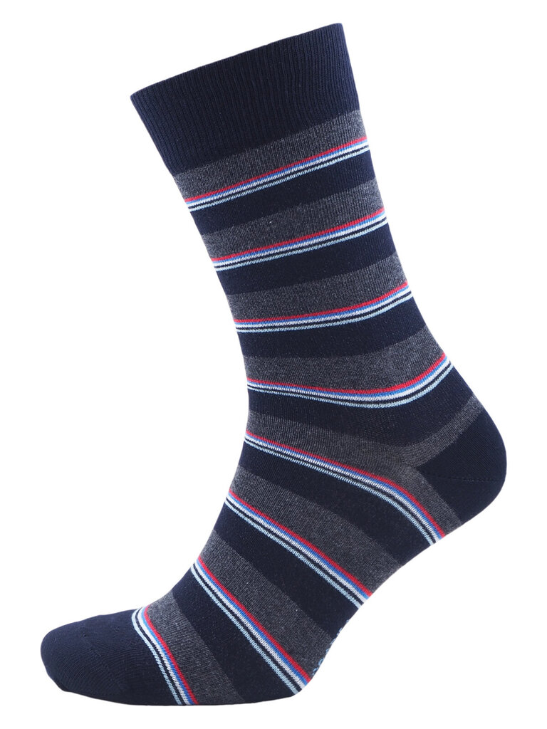 Dryžuotos kojinės vyrams iš šukuotinės medvilnės Medium Stripes kaina ir informacija | Vyriškos kojinės | pigu.lt
