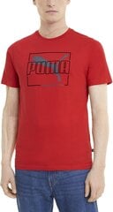 Marškinėliai vyrams Puma Flock Tee High Risk Red, raudoni kaina ir informacija | Vyriški marškinėliai | pigu.lt