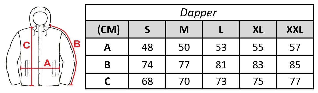 Striukė vyrams Dapper exclusive kaina ir informacija | Vyriškos striukės | pigu.lt