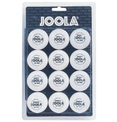 Мячи для настольного тенниса Joola, 12 шт., белые цена и информация | Ракетки для настольного тенниса, чехлы и наборы | pigu.lt