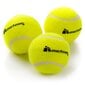 Lauko teniso kamuoliukai METEOR, 3 vnt. цена и информация | Lauko teniso prekės | pigu.lt