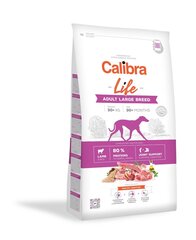 Calibra Life didelių veislių suaugusiems šunims su ėriena, 12 kg цена и информация | Сухой корм для собак | pigu.lt