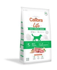 Calibra Life vidutinių veislių suaugusiems šunims su ėriena, 12 kg цена и информация | Сухой корм для собак | pigu.lt