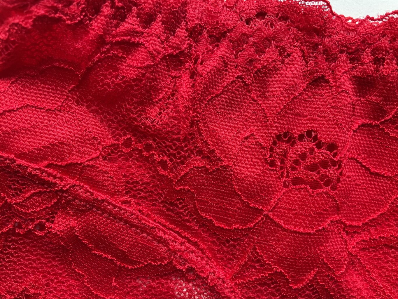 Stringai su paaukštintu liemeniu moterims Coeur Joie raudonos spalvos kaina ir informacija | Kelnaitės | pigu.lt
