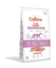 Calibra Life didelių veislių jauniems šunims su ėriena, 12 kg цена и информация |  Сухой корм для собак | pigu.lt
