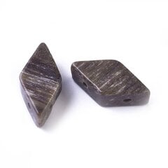 Natūralūs Petrified Wood karoliukai 17-22x9-11 mm 1 vnt. AK1803 kaina ir informacija | Papuošalų gamybai, vėrimui | pigu.lt