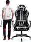 Žaidimų kėdė Diablo X-One King, juoda/balta цена и информация | Biuro kėdės | pigu.lt