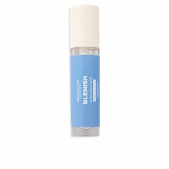 Priemonė nuo spuogų Revolution Skincare Blemish 1% Salicylic Acid Touch Up Stick, 9ml kaina ir informacija | Veido aliejai, serumai | pigu.lt