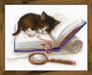 Siuvinėjimo rinkinys Riolis 1725 Kačiukas ant knygos kaina ir informacija | Siuvinėjimo priemonės | pigu.lt