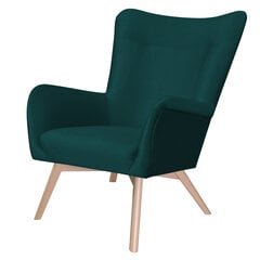 Кресло Selsey Fianna, зеленое цена и информация | Кресла в гостиную | pigu.lt