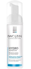 Мицеллярная очищающая пенка для лица Iwostin Hydro Sensitia, 165 мл цена и информация | Средства для очищения лица | pigu.lt