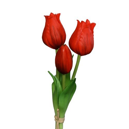 Dirbtinė gėlė Tulpė 3vnt., raudona kaina ir informacija | Dirbtinės gėlės | pigu.lt