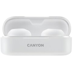 Canyon TWS-1 CNE-CBTHS1W  цена и информация | Canyon Компьютерная техника | pigu.lt