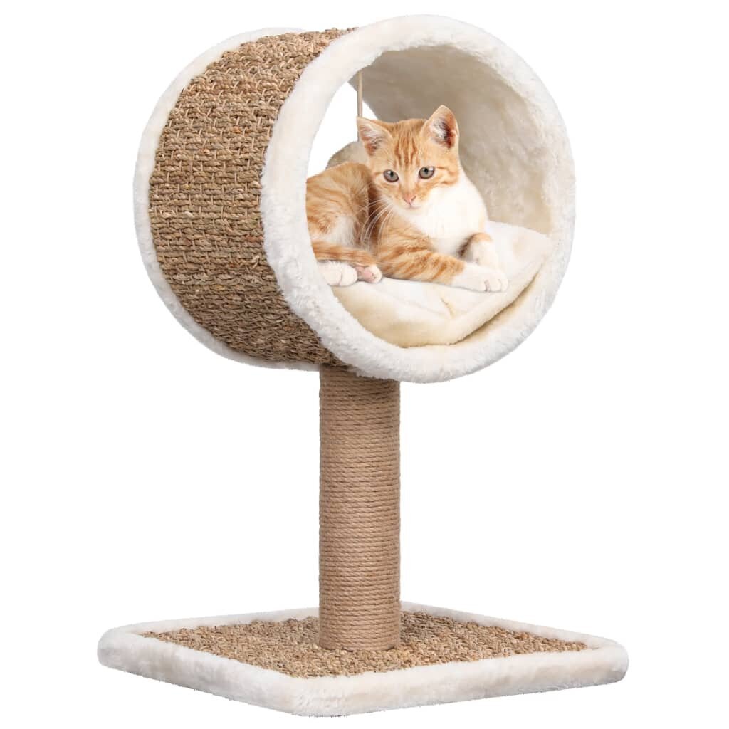 Draskyklė katėms su tuneliu viršuje ir žaislu 56 cm цена и информация | Draskyklės | pigu.lt