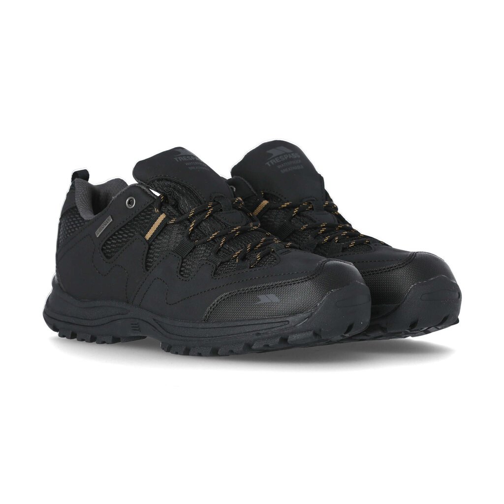Žygio batai vyrams Trespass Finley Low Cut - Hiking Shoe kaina ir informacija | Vyriški batai | pigu.lt