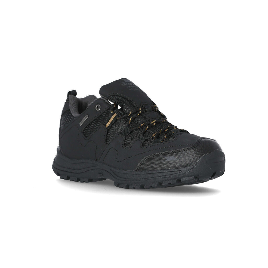 Žygio batai vyrams Trespass Finley Low Cut - Hiking Shoe kaina ir informacija | Vyriški batai | pigu.lt