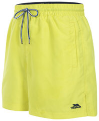 Шорты для плавания мужские Trespass Granvin - Male Shorts цена и информация | Мужские шорты | pigu.lt