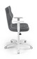 Biuro kėdė Entelo Duo JS33 6, tamsiai pilka/balta kaina ir informacija | Biuro kėdės | pigu.lt