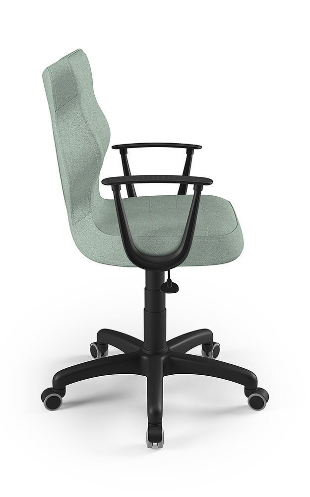 Biuro kėdė Entelo Norm DC20, šviesiai žalia kaina ir informacija | Biuro kėdės | pigu.lt