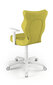 Biuro kėdė Entelo Duo DC19 6, žalia/balta цена и информация | Biuro kėdės | pigu.lt