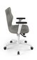 Biuro kėdė Entelo Perto White TW03, pilka kaina ir informacija | Biuro kėdės | pigu.lt
