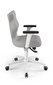 Biuro kėdė Entelo Perto White DC18, pilka kaina ir informacija | Biuro kėdės | pigu.lt