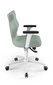 Biuro kėdė Entelo Perto White DC20, žalia kaina ir informacija | Biuro kėdės | pigu.lt