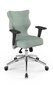 Biuro kėdė Entelo Perto Poler DC20, žalia kaina ir informacija | Biuro kėdės | pigu.lt