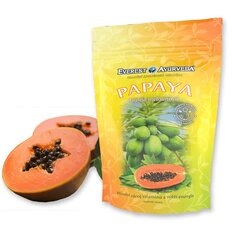 Džiovinti papajos vaisiai Everest Ayurveda Papaya, 100 g kaina ir informacija | Riešutai, sėklos, džiovinti vaisiai | pigu.lt