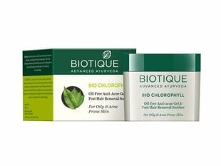 Veido gelis nuo spuogų Biotique „Bio Chlorophyll Anti-Acne Gel“, 50 g kaina ir informacija | Veido kremai | pigu.lt