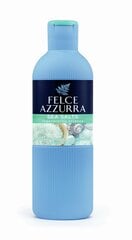 Гель для душа Felce Azzurra Sea Salts, 650 мл цена и информация | Felce Azzurra Духи, косметика | pigu.lt