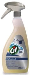 Valymo priemonė CIF, 750 ml kaina ir informacija | Valikliai | pigu.lt