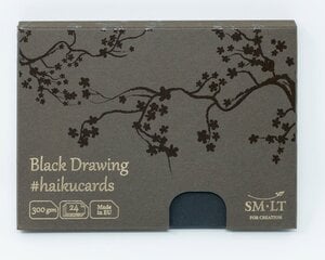 Карточки для рисования черные 106х147 мм, 24 шт. цена и информация | Тетради и бумажные товары | pigu.lt