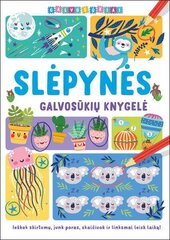 Slėpynės. Galvosūkių knygelė цена и информация | Книжки - раскраски | pigu.lt