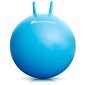 Gimnastikos kamuolys Meteor, 55 cm, mėlynas kaina ir informacija | Gimnastikos kamuoliai | pigu.lt