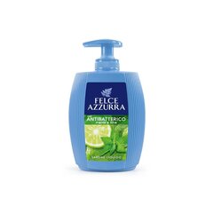 Жидкое мыло FELCE AZZURRA Mint and Lime ANTIBACTERIAL, 300 мл цена и информация | Мыло | pigu.lt