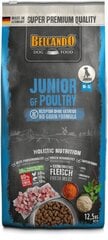 Belcando Junior GF Poultry для собак средних и крупных пород от 4 месяцев 12,5 кг цена и информация | Сухой корм для собак | pigu.lt