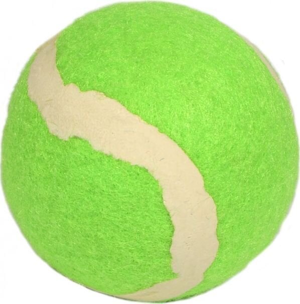 Lauko teniso kamuoliukas Enero, žalias, 1 vnt kaina ir informacija | Lauko teniso prekės | pigu.lt