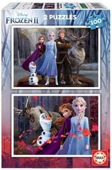 Головоломка Frozen, 2 шт. x 100 частей цена и информация | Пазлы | pigu.lt