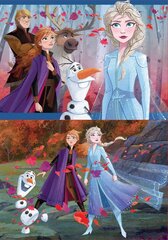 Dėlionė Frozen, 2 vnt. x 48 detalių kaina ir informacija | Dėlionės (puzzle) | pigu.lt