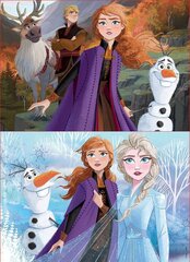 Dėlionė Frozen, 2 vnt. x 50 detalių kaina ir informacija | Dėlionės (puzzle) | pigu.lt